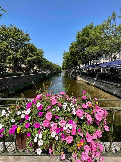 Lou Paseo : Appartement Brocante Centre Historique LʼIsle-sur-la-Sorgue Eksteriør bilde