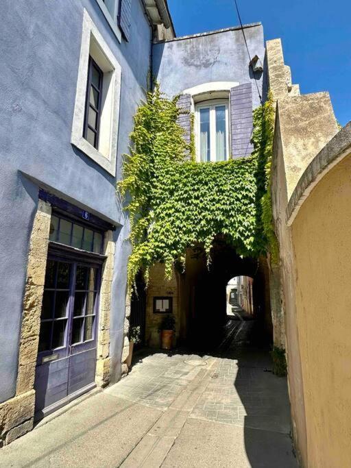 Lou Paseo : Appartement Brocante Centre Historique LʼIsle-sur-la-Sorgue Eksteriør bilde